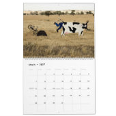 Dieren op fietsen 2013 Agenda Kalender (Mar 2027)