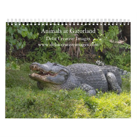 Dieren op Gatorland 2026 Kalender (Hoes)