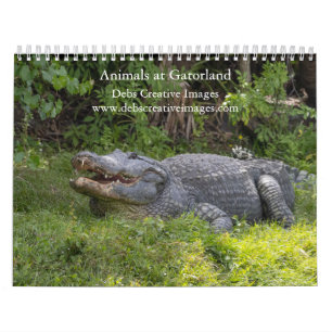 Dieren op Gatorland 2026 Kalender