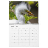 Dieren op Gatorland 2026 Kalender (Mar 2027)