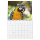 Dieren op Gatorland 2026 Kalender (Jan 2027)