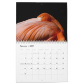 Dieren op Gatorland 2026 Kalender (Feb 2027)