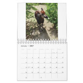 Dieren over de hele wereld 5,5 x 7 inch kalender v (Jan 2027)