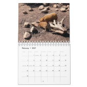 Dieren over de hele wereld 5,5 x 7 inch kalender v (Feb 2027)