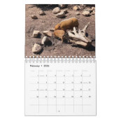 Dieren over de hele wereld 5,5 x 7 inch kalender v (Feb 2026)