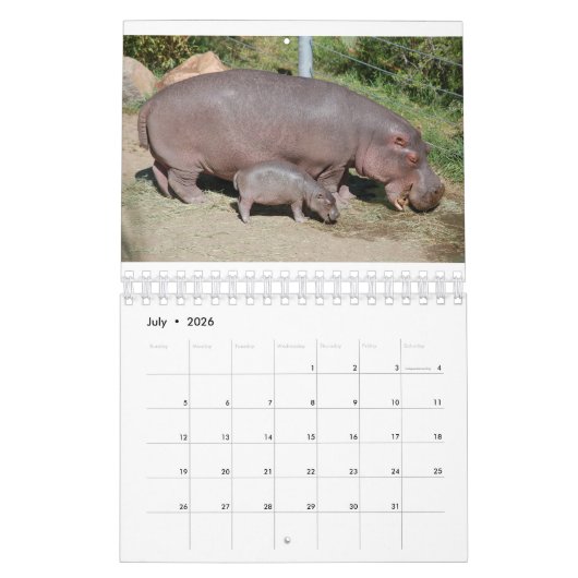 Dieren over de hele wereld 5,5 x 7 inch kalender v (Jul 2026)