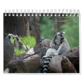 Dieren over de hele wereld 5,5 x 7 inch kalender v (Hoes)