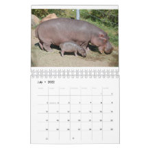 Dieren over de hele wereld 5,5 x 7 inch kalender v