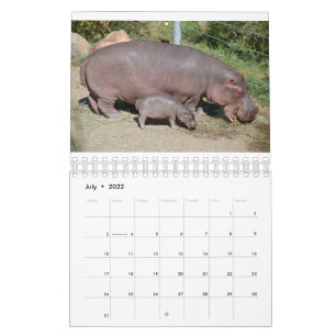 Dieren over de hele wereld 5,5 x 7 inch kalender v