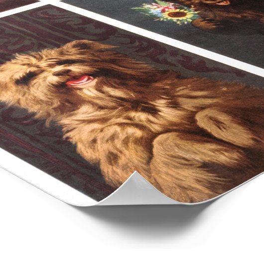  dieren poster (Hoek)