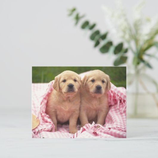 Dieren, Puppies Briefkaart (Staand voorkant)