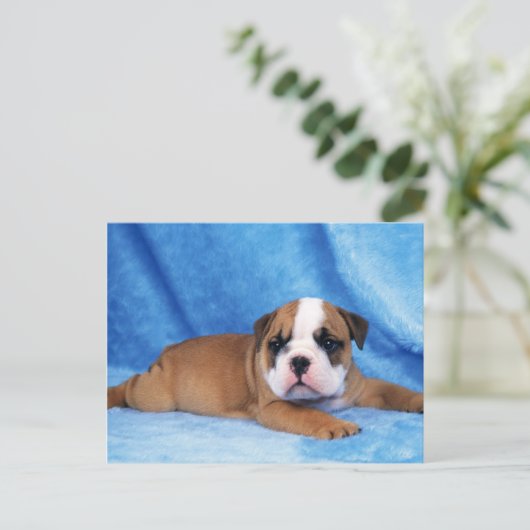 Dieren, Puppies Briefkaart (Staand voorkant)