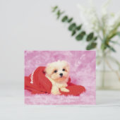 Dieren, Puppies Briefkaart (Staand voorkant)