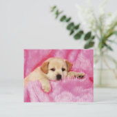 Dieren, Puppies Briefkaart (Staand voorkant)
