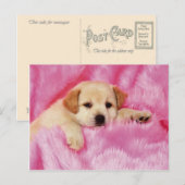 Dieren, Puppies Briefkaart (Voorkant / Achterkant)