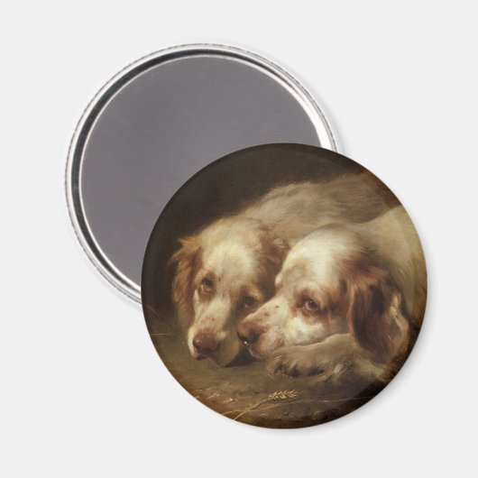 dieren, puppy-honden met kattenvoer magneet (Voorkant / Achterkant)