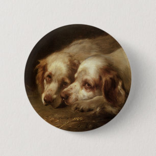  dieren, puppy-honden met kattenvoer ronde button 5,7 cm