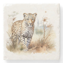 Dieren Safari Luipaard
