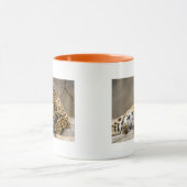 Dieren Safari Oerwoud Kantoor Mok (Midden)