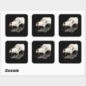 Dieren schedel vierkante sticker (Vel)