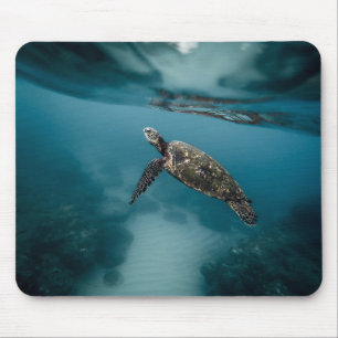 Dieren, schildpadden, water muismat