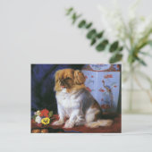  dieren, Speelgoed Pekingese Puppy Dog Briefkaart (Staand voorkant)