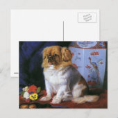  dieren, Speelgoed Pekingese Puppy Dog Briefkaart (Voorkant / Achterkant)