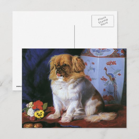  dieren, Speelgoed Pekingese Puppy Dog Briefkaart (Voorkant / Achterkant)