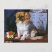  dieren, Speelgoed Pekingese Puppy Dog Briefkaart (Voorkant)