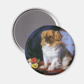 dieren, Speelgoed Pekingese Puppy Dog Magneet (Voorkant / Achterkant)