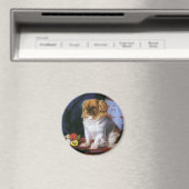 dieren, Speelgoed Pekingese Puppy Dog Magneet (Insitu (Vaatwasser))