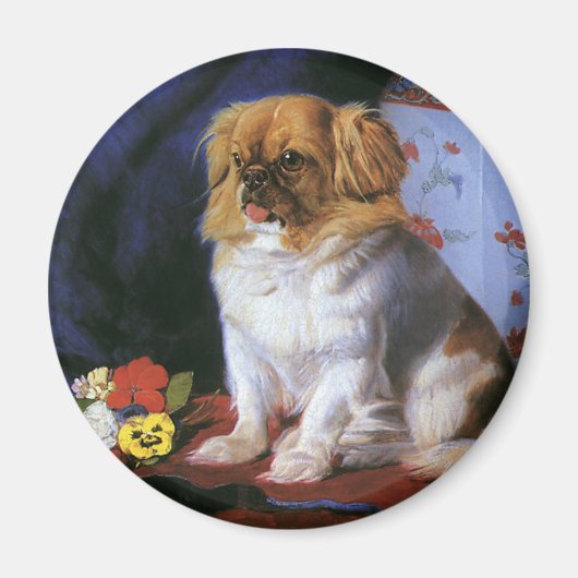 dieren, Speelgoed Pekingese Puppy Dog Magneet (Voorkant)