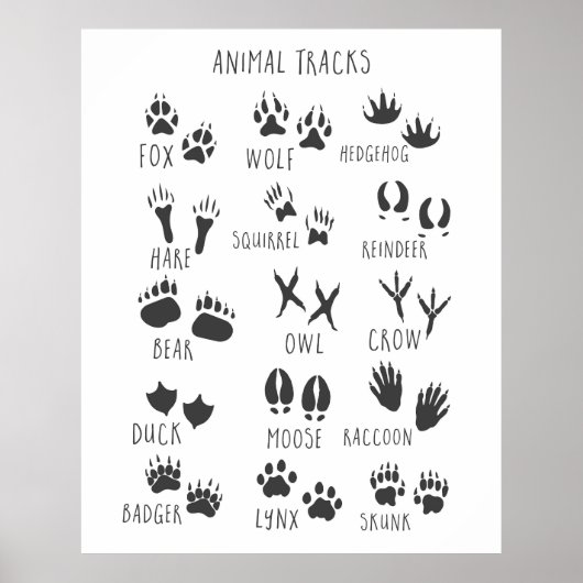 Dieren Sporen  Poster (Voorkant)