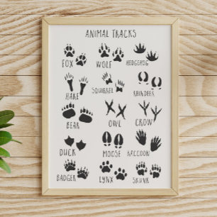 Dieren Sporen Poster