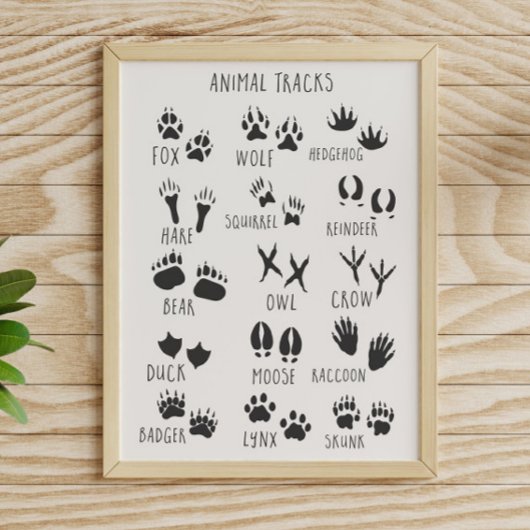 Dieren Sporen  Poster