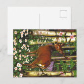 Dieren uit de Appalachen Briefkaart (Voorkant / Achterkant)