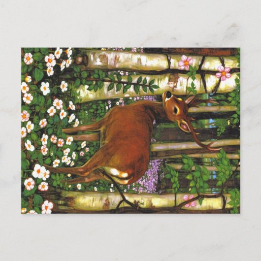 Dieren uit de Appalachen Briefkaart (Voorkant)