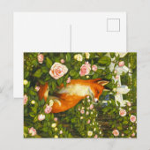 Dieren uit de Appalachian Briefkaart (Voorkant / Achterkant)