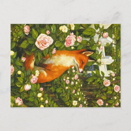 Dieren uit de Appalachian Briefkaart (Voorkant)