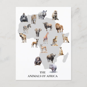 Dieren van Afrika Safari Wildlife Briefkaart