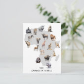 Dieren van Afrika Safari Wildlife Briefkaart (Staand voorkant)