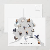 Dieren van Alaska Noord-Amerika Briefkaart (Voorkant / Achterkant)