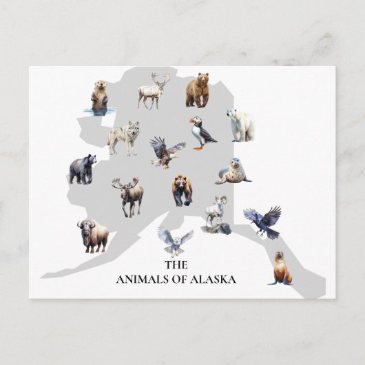 Dieren van Alaska Noord-Amerika Briefkaart (Voorkant)
