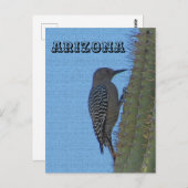Dieren van Arizona Gila Woodpecker op Tall Cactus Briefkaart (Voorkant / Achterkant)