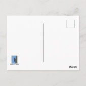 Dieren van Arizona Gila Woodpecker op Tall Cactus Briefkaart (Achterkant)