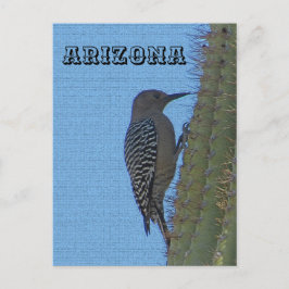 Dieren van Arizona Gila Woodpecker op Tall Cactus Briefkaart