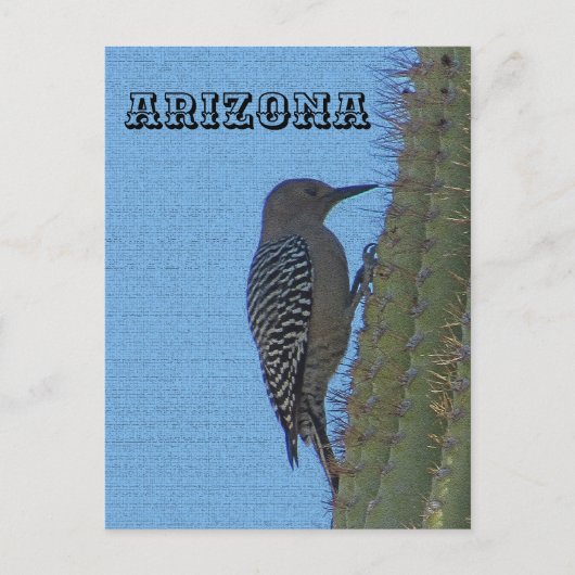 Dieren van Arizona Gila Woodpecker op Tall Cactus Briefkaart (Voorkant)