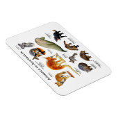 Dieren van Australia Magnet Magneet (Rechterzijde)