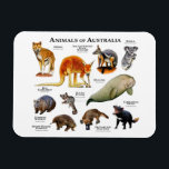 Dieren van Australia Magnet Magneet<br><div class="desc">Dieren tegen achtergrond van Australië</div>