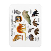 Dieren van Australia Magnet Magneet (Verticaal)